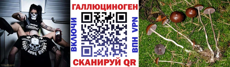 Галлюциногенные грибы мухоморы  цена   Оханск 